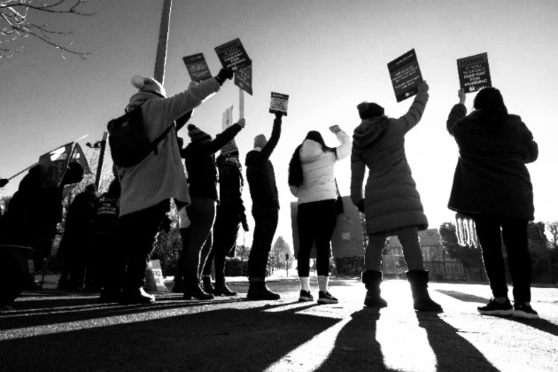 Striking nursing staff photographed from behind, holding placards up to sky as sun shines down on them