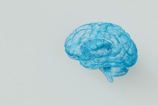Brain illustration
