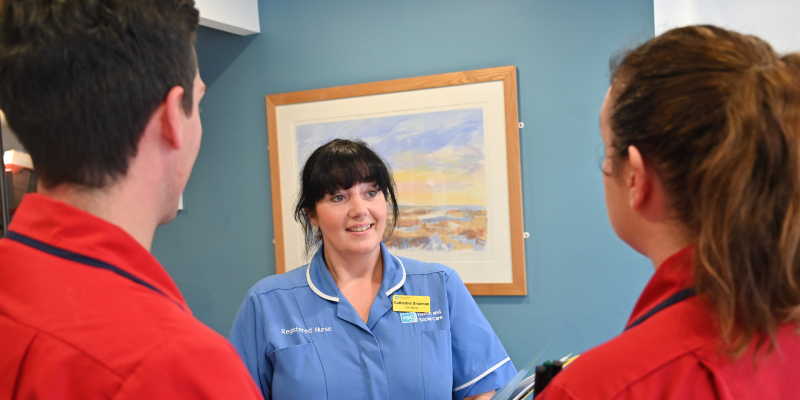 @Model.StoryImage.Alt