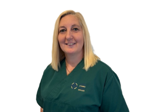 @Model.StoryImage.Alt